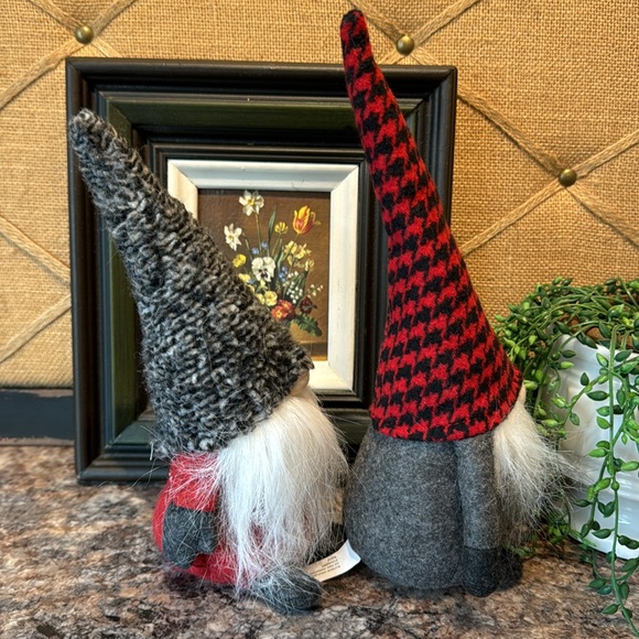 Gnomes - Picture 6 of 7